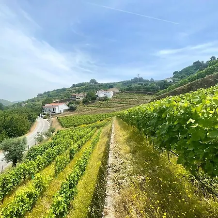 Historic Douro Valley Quinta