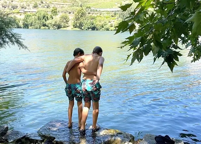 Historic Douro Valley Quinta Σπίτι διακοπών