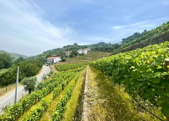 Historic Douro Valley Quinta