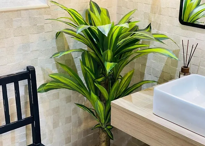 Historic Douro Valley Quinta Σπίτι διακοπών Lamego