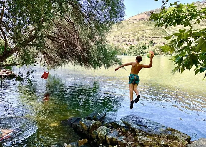 Historic Douro Valley Quinta Holiday home Lamego