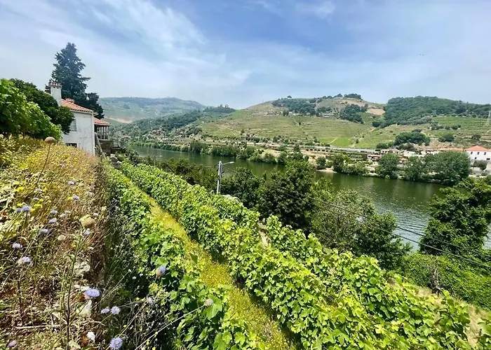 Σπίτι διακοπών Historic Douro Valley Quinta Lamego