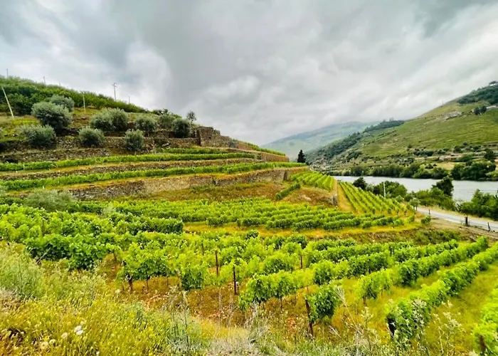 Historic Douro Valley Quinta Holiday home
